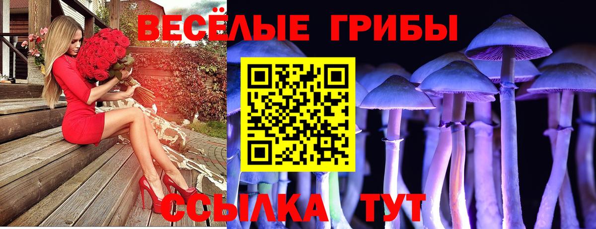 Псилоцибиновые грибы мухоморы Соль-Илецк