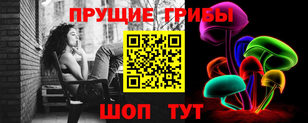 Галлюциногенные грибы Psilocybe  Вход с VPN  Соль-Илецк 